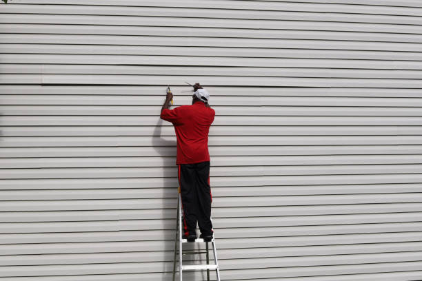 Best Historical Building Siding Restoration  in Camden, NJ