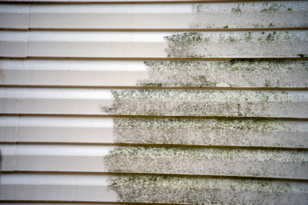 Best Siding Removal and Disposal  in Camden, NJ