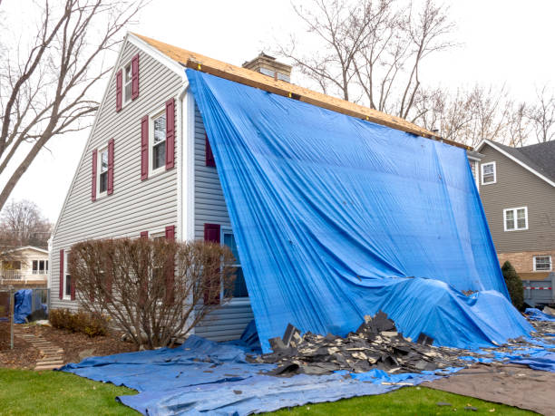 Affordable siding repair and maintenance services in Camden, NJ