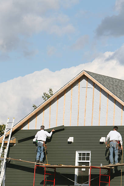 Best Siding Painting and Refinishing  in Camden, NJ