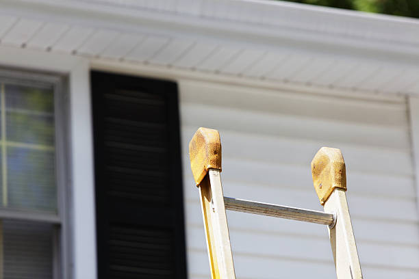 Best Siding Painting and Refinishing  in Camden, NJ